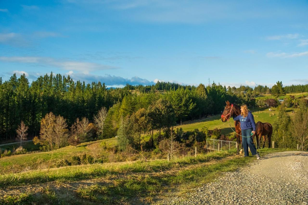 Countryview Haven Villa Tasman Kültér fotó